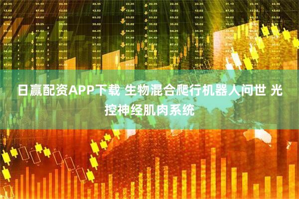 日赢配资APP下载 生物混合爬行机器人问世 光控神经肌肉系统