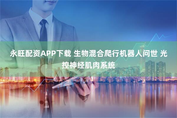 永旺配资APP下载 生物混合爬行机器人问世 光控神经肌肉系统