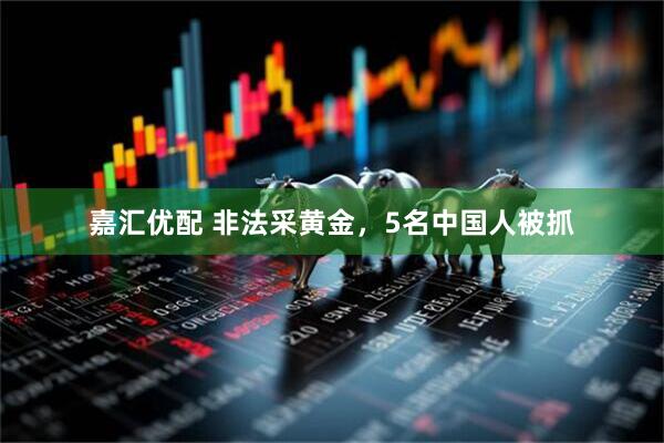 嘉汇优配 非法采黄金，5名中国人被抓